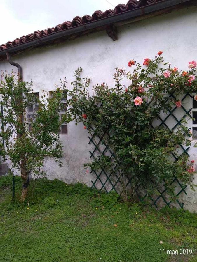 Beb Infamiglia Bed & Breakfast Cascinette Eksteriør bilde