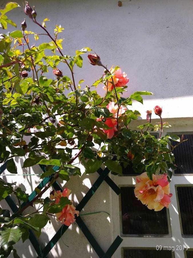 Beb Infamiglia Bed & Breakfast Cascinette Eksteriør bilde